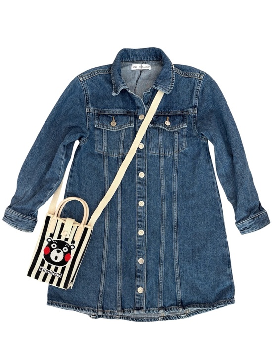 Zara Other - Zara Girls Denim Shirt Dress Size 10